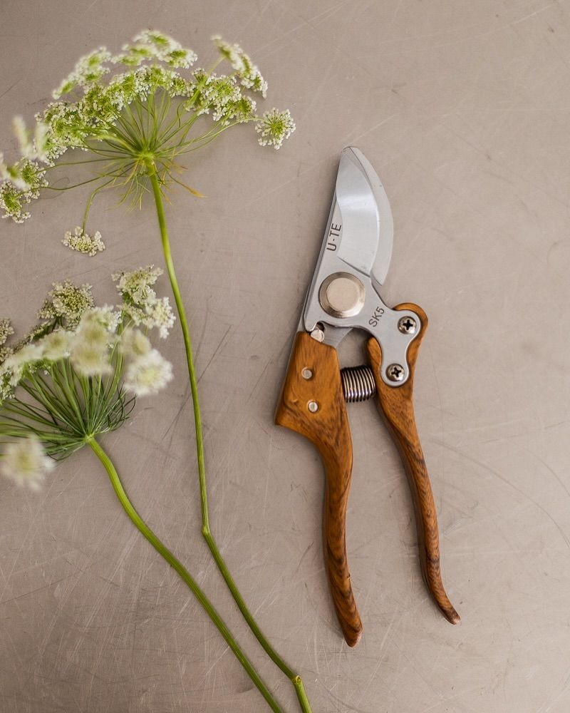 Pruning Shears